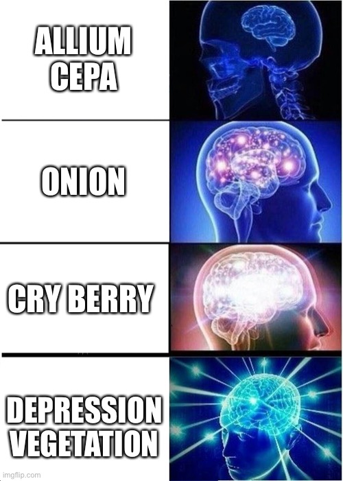 ONioN | ALLIUM CEPA; ONION; CRY BERRY; DEPRESSION VEGETATION | image tagged in memes,expanding brain,onion | made w/ Imgflip meme maker