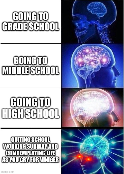 my school plan | GOING TO GRADE SCHOOL; GOING TO MIDDLE SCHOOL; GOING TO HIGH SCHOOL; QUITING SCHOOL WORKING SUBWAY AND COMTEMPLATING LIFE AS YOU CRY FOR VINIGER | image tagged in memes,expanding brain | made w/ Imgflip meme maker
