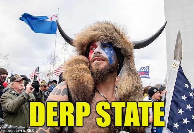 TrumpTard Leadership | DERP STATE | image tagged in qanon shaman | made w/ Imgflip meme maker