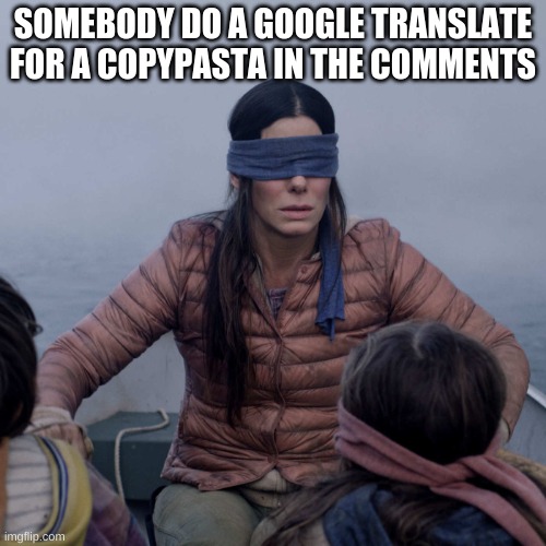 Bird Box Meme | SOMEBODY DO A GOOGLE TRANSLATE FOR A COPYPASTA IN THE COMMENTS | image tagged in memes,bird box | made w/ Imgflip meme maker