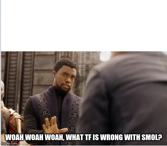 We don't do that here | WOAH WOAH WOAH, WHAT TF IS WRONG WITH SMOL? | image tagged in we don't do that here | made w/ Imgflip meme maker