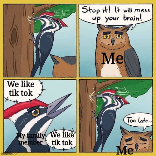 Im the only one who hates tik tok as a 13 year old boy | Me; We like tik tok; We like tik tok; My family member; Me | image tagged in forever alone | made w/ Imgflip meme maker