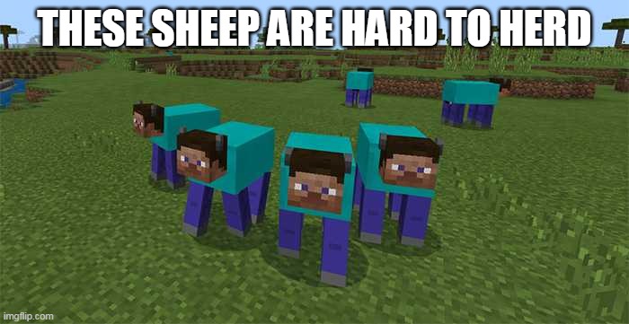 Build a cage | THESE SHEEP ARE HARD TO HERD | image tagged in me and the boys,minecraft,sheep | made w/ Imgflip meme maker