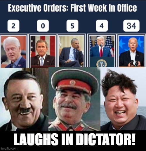 Laughs in Dictator! | image tagged in stupid liberals,biden | made w/ Imgflip meme maker