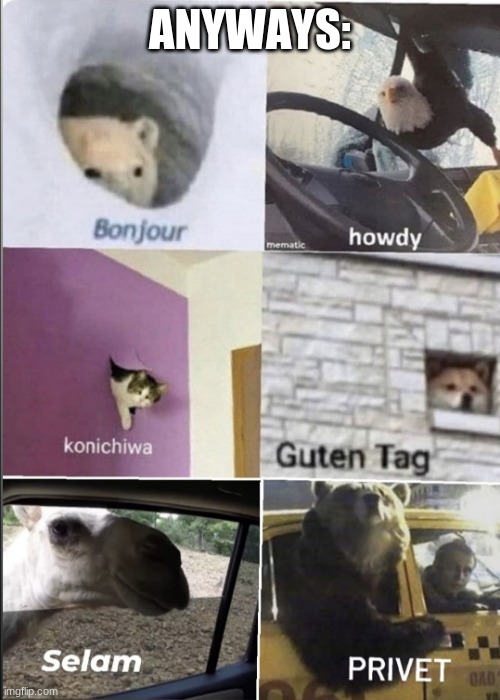 how r u (besides the mini war) | ANYWAYS: | image tagged in bonjour howdy konichiwa guten tag selam privet | made w/ Imgflip meme maker