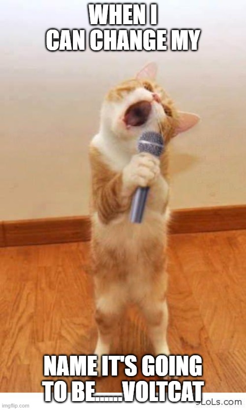 Cat Singer |  WHEN I CAN CHANGE MY; NAME IT'S GOING TO BE......VOLTCAT | image tagged in cat singer | made w/ Imgflip meme maker