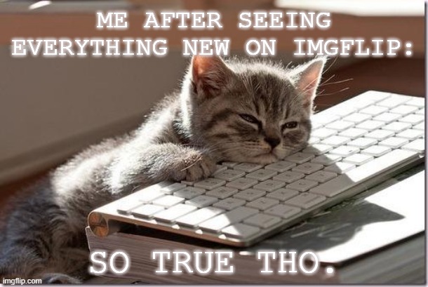 Bored, bored, bored, bored, bored, bored, bored, bored, bored, bored, bored, bored, bored, bored, bored, etc. | ME AFTER SEEING EVERYTHING NEW ON IMGFLIP:; SO TRUE THO. | image tagged in bored keyboard cat | made w/ Imgflip meme maker