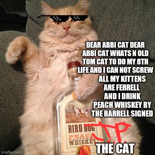 little nod to john prine | DEAR ABBI CAT DEAR ABBI CAT WHATS N OLD TOM CAT TO DO MY 8TH LIFE AND I CAN NOT SCREW; ALL MY KITTENS ARE FERRELL 
AND I DRINK PEACH WHISKEY BY THE BARRELL SIGNED; THE CAT | image tagged in funny memes | made w/ Imgflip meme maker
