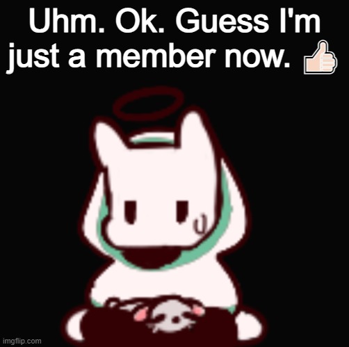 tf-? | Uhm. Ok. Guess I'm just a member now. 👍🏻 | image tagged in you aren't very smart are you | made w/ Imgflip meme maker