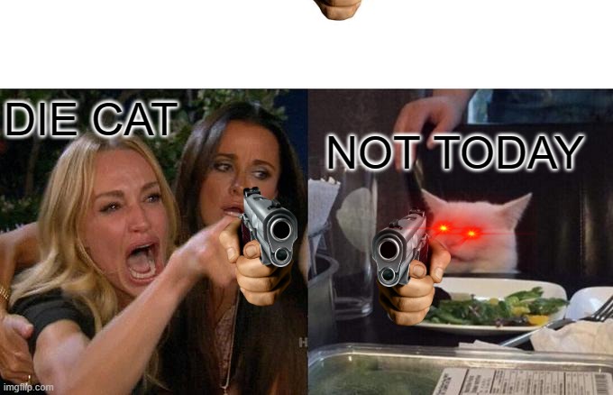 WOMAN AND CAT not getting along | DIE CAT; NOT TODAY | image tagged in memes,woman yelling at cat | made w/ Imgflip meme maker