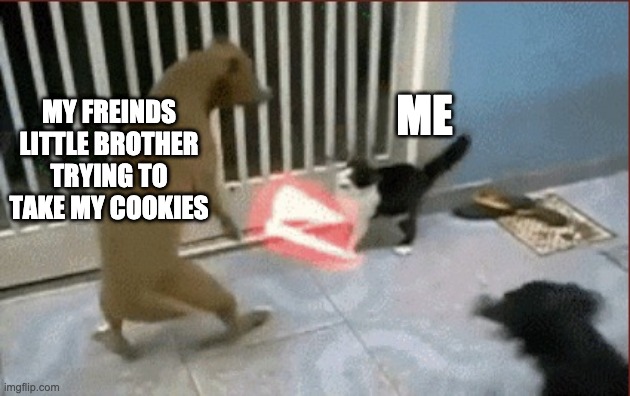 Light Saber Cat | MY FREINDS LITTLE BROTHER TRYING TO TAKE MY COOKIES; ME | image tagged in light saber cat | made w/ Imgflip meme maker