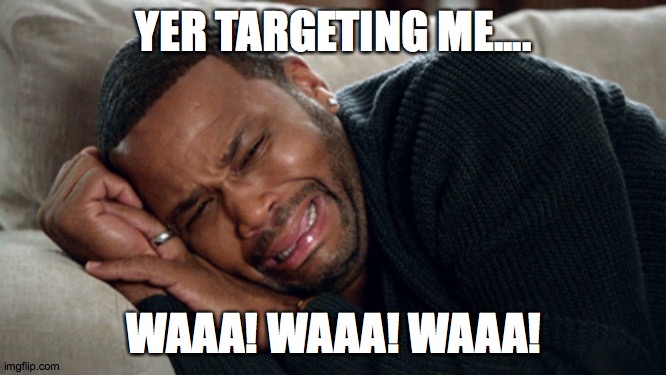 Blackish crying | YER TARGETING ME.... WAAA! WAAA! WAAA! | image tagged in blackish crying | made w/ Imgflip meme maker