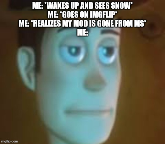 ME: *WAKES UP AND SEES SNOW*
ME: *GOES ON IMGFLIP*
ME: *REALIZES MY MOD IS GONE FROM MS*
ME: | made w/ Imgflip meme maker