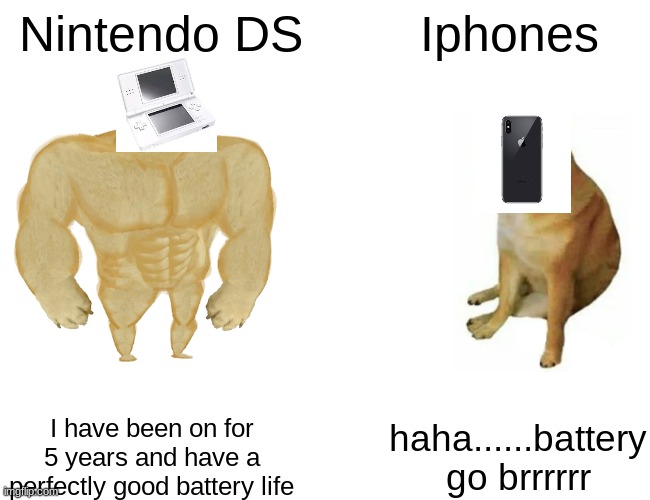 Is this true? | Nintendo DS; Iphones; I have been on for 5 years and have a perfectly good battery life; haha......battery go brrrrrr | image tagged in memes,buff doge vs cheems | made w/ Imgflip meme maker