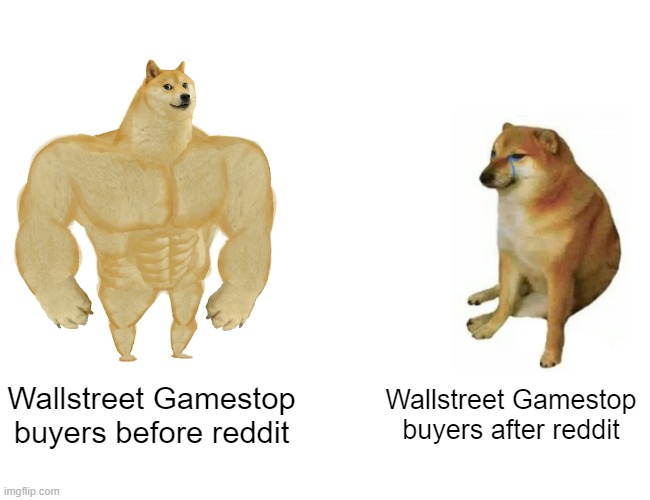 Buff Doge vs. Cheems | Wallstreet Gamestop buyers before reddit; Wallstreet Gamestop buyers after reddit | image tagged in memes,buff doge vs cheems | made w/ Imgflip meme maker