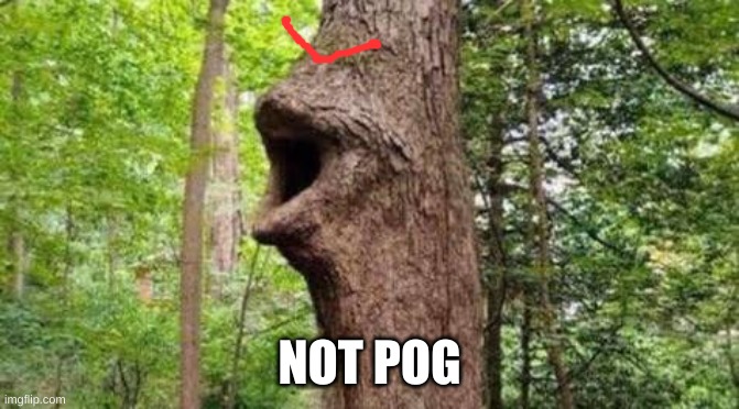 Tree pog | NOT POG | image tagged in tree pog | made w/ Imgflip meme maker