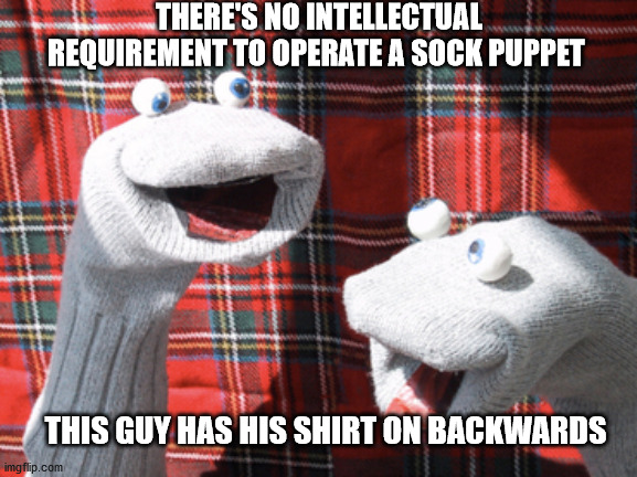 socks | THERE'S NO INTELLECTUAL REQUIREMENT TO OPERATE A SOCK PUPPET; THIS GUY HAS HIS SHIRT ON BACKWARDS | image tagged in socks | made w/ Imgflip meme maker