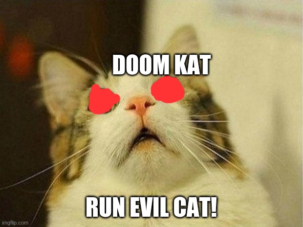 Scared Cat | DOOM KAT; RUN EVIL CAT! | image tagged in memes,scared cat | made w/ Imgflip meme maker