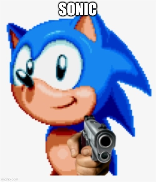 Sonic gun pointed | SONIC | image tagged in sonic gun pointed | made w/ Imgflip meme maker
