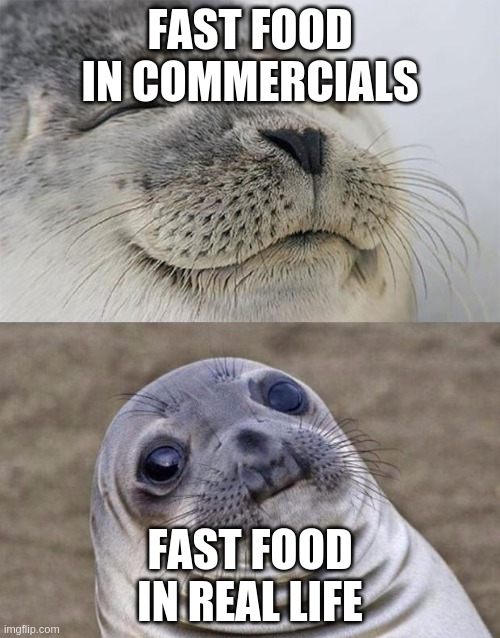 Short Satisfaction VS Truth | FAST FOOD IN COMMERCIALS; FAST FOOD IN REAL LIFE | image tagged in memes,short satisfaction vs truth | made w/ Imgflip meme maker