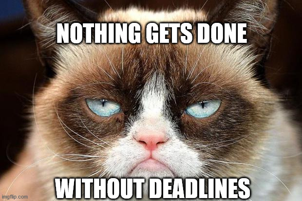 Grumpy Cat Not Amused | NOTHING GETS DONE; WITHOUT DEADLINES | image tagged in memes,grumpy cat not amused,grumpy cat | made w/ Imgflip meme maker