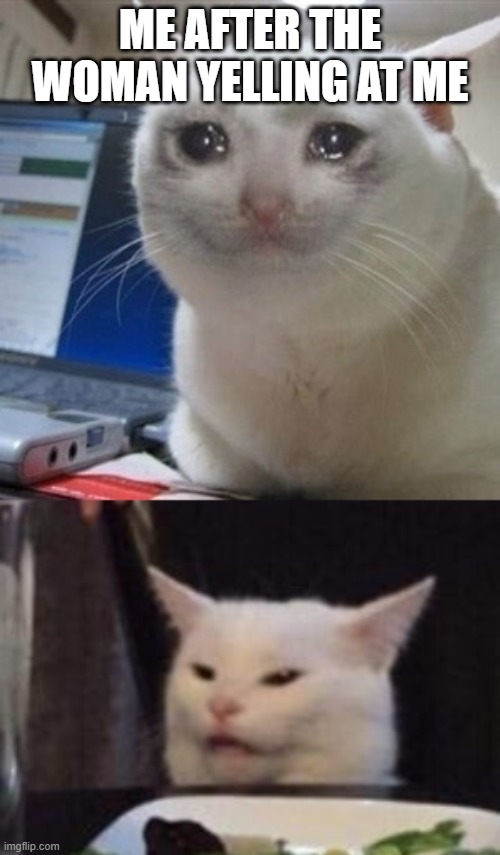 plz help me | ME AFTER THE WOMAN YELLING AT ME | image tagged in crying cat,memes,woman yelling at cat | made w/ Imgflip meme maker