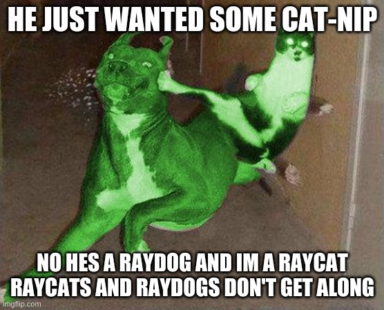 RayCat kicking RayDog | HE JUST WANTED SOME CAT-NIP; NO HES A RAYDOG AND IM A RAYCAT RAYCATS AND RAYDOGS DON'T GET ALONG | image tagged in raycat kicking raydog | made w/ Imgflip meme maker