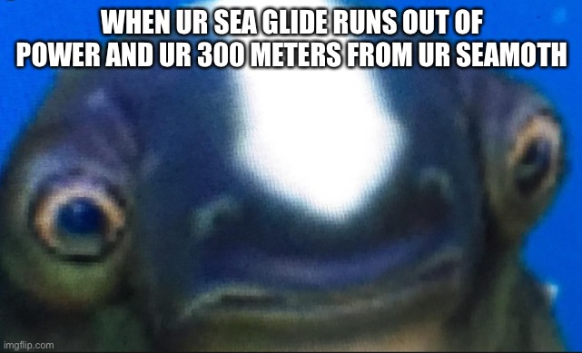 Rip | WHEN UR SEA GLIDE RUNS OUT OF POWER AND UR 300 METERS FROM UR SEAMOTH | image tagged in subnautica seamoth cuddlefish | made w/ Imgflip meme maker