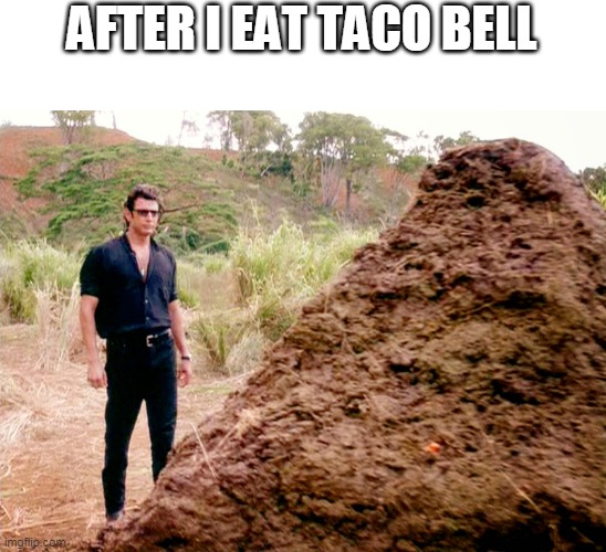 Memes, Poop, Jurassic Park | AFTER I EAT TACO BELL | image tagged in memes poop jurassic park | made w/ Imgflip meme maker