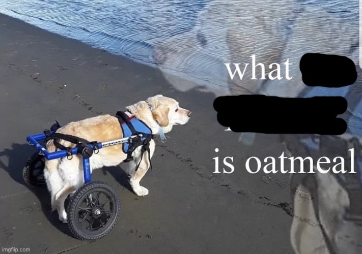 What the fuck is oatmeal | image tagged in what the fuck is oatmeal | made w/ Imgflip meme maker