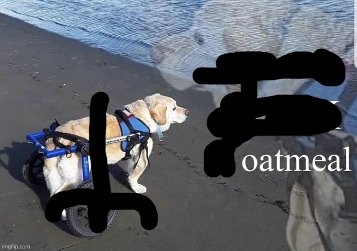 What the f**k is oatmeal | image tagged in what the f k is oatmeal | made w/ Imgflip meme maker