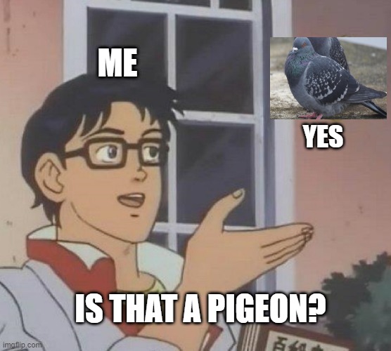 But it was a pigeon | ME; YES; IS THAT A PIGEON? | image tagged in memes,is this a pigeon | made w/ Imgflip meme maker