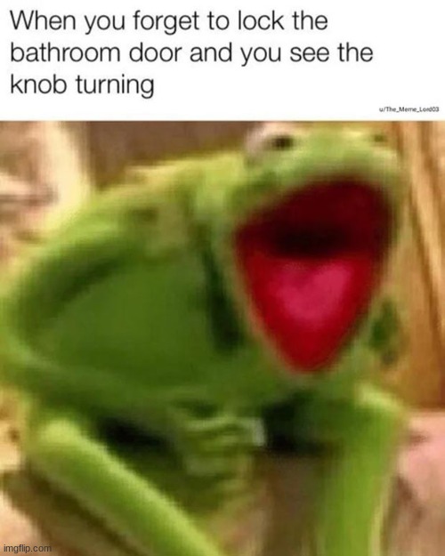 thats so me | image tagged in kermit the frog,ahhhhhhhhhhhhhhhhh,kermit aahhhh | made w/ Imgflip meme maker