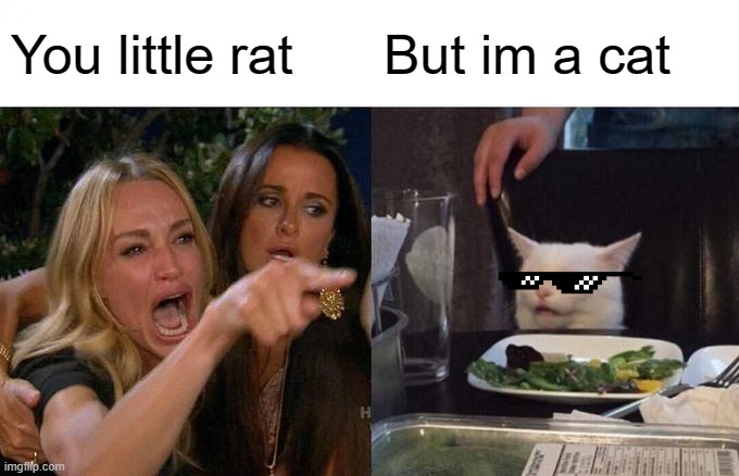 Ohhhhhhhhhhhhhh | You little rat; But im a cat | image tagged in memes,woman yelling at cat | made w/ Imgflip meme maker