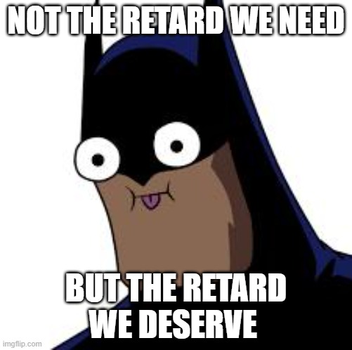 batman derp | NOT THE RETARD WE NEED; BUT THE RETARD WE DESERVE | image tagged in batman derp | made w/ Imgflip meme maker