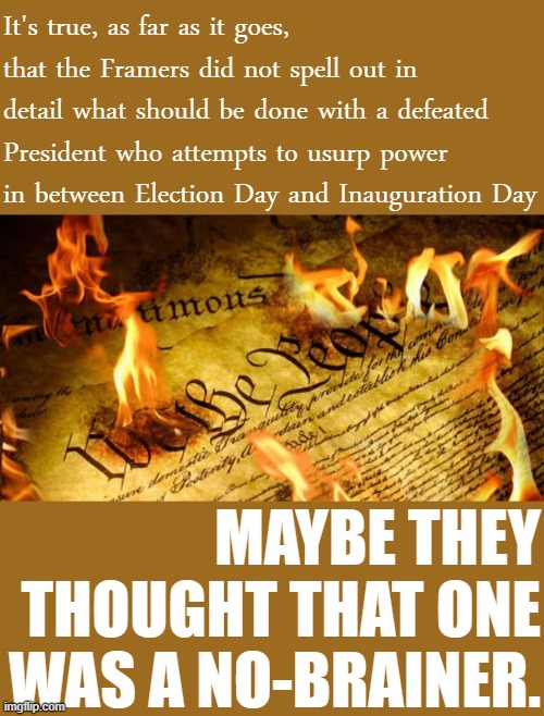 Republicans: "It's unconstitutional to save the Constitution!" | It's true, as far as it goes, that the Framers did not spell out in detail what should be done with a defeated President who attempts to usurp power in between Election Day and Inauguration Day; MAYBE THEY THOUGHT THAT ONE WAS A NO-BRAINER. | image tagged in constitution in flames,trump impeachment,impeach trump,tyrant,democracy,constitution | made w/ Imgflip meme maker