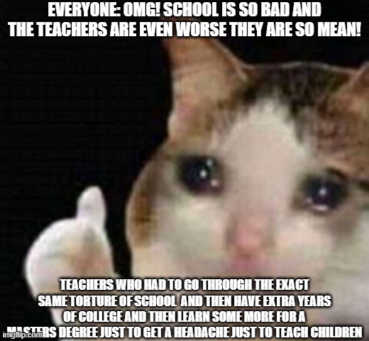 Approved crying cat | EVERYONE: OMG! SCHOOL IS SO BAD AND THE TEACHERS ARE EVEN WORSE THEY ARE SO MEAN! TEACHERS WHO HAD TO GO THROUGH THE EXACT SAME TORTURE OF SCHOOL  AND THEN HAVE EXTRA YEARS OF COLLEGE AND THEN LEARN SOME MORE FOR A MASTERS DEGREE JUST TO GET A HEADACHE JUST TO TEACH CHILDREN | image tagged in approved crying cat | made w/ Imgflip meme maker