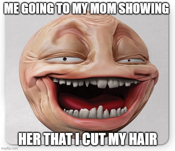 Dang man | ME GOING TO MY MOM SHOWING; HER THAT I CUT MY HAIR | image tagged in sick humor | made w/ Imgflip meme maker