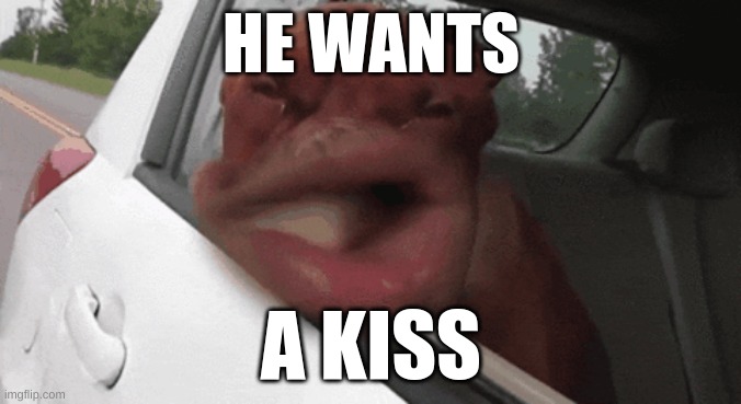 give him a little smooch | HE WANTS; A KISS | image tagged in meme | made w/ Imgflip meme maker
