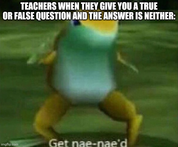 Get nae-nae'd | TEACHERS WHEN THEY GIVE YOU A TRUE OR FALSE QUESTION AND THE ANSWER IS NEITHER: | image tagged in get nae-nae'd | made w/ Imgflip meme maker