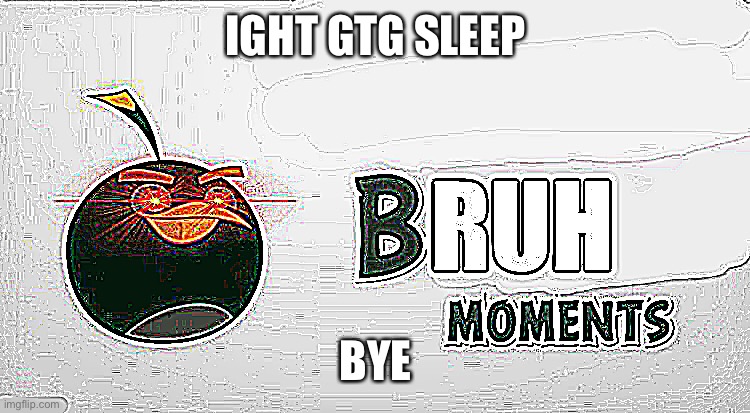Bruh Moments | IGHT GTG SLEEP; BYE | image tagged in bruh moments | made w/ Imgflip meme maker