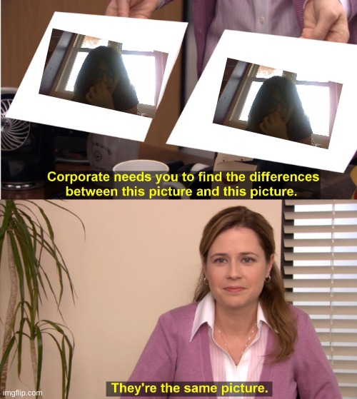 They're The Same Picture | image tagged in memes,they're the same picture | made w/ Imgflip meme maker