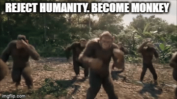 Monkey Rejecting Reject humanity, Become monkey - Imgflip