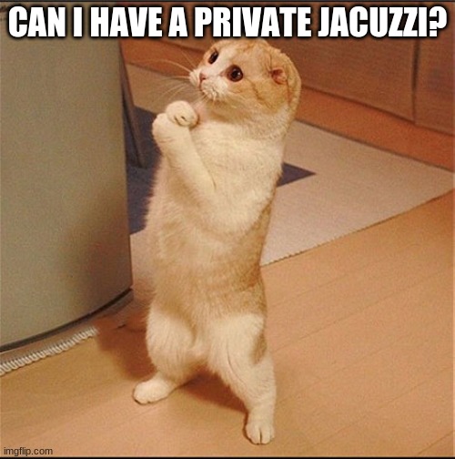Can I Has Food | CAN I HAVE A PRIVATE JACUZZI? | image tagged in can i has food | made w/ Imgflip meme maker