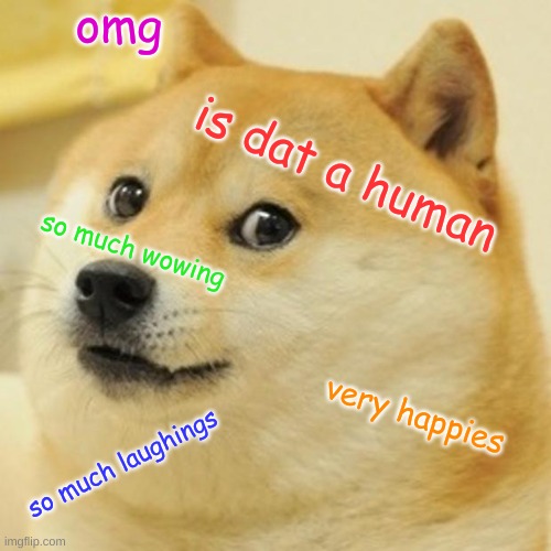 aha wows | omg; is dat a human; so much wowing; very happies; so much laughings | image tagged in memes,doge | made w/ Imgflip meme maker
