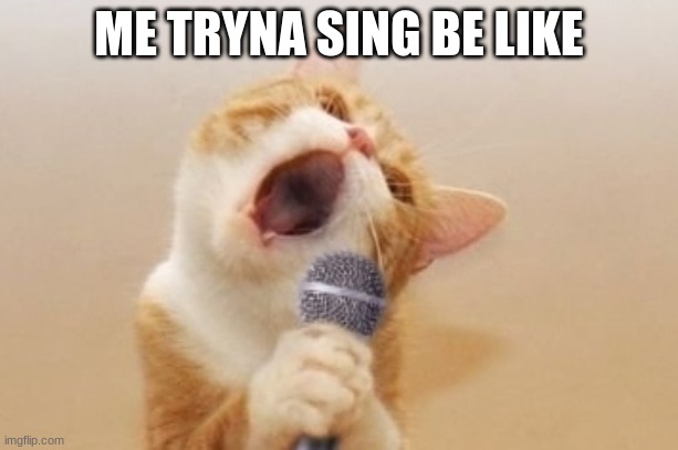 Funny cat | ME TRYNA SING BE LIKE | image tagged in funny cat | made w/ Imgflip meme maker