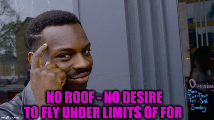 -Cut wisdom. | NO ROOF - NO DESIRE TO FLY UNDER LIMITS OF FOR | image tagged in memes,roll safe think about it,starflight,roofie,smart guy,peace was never an option | made w/ Imgflip meme maker