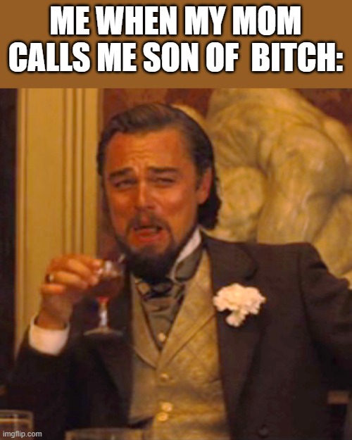 hehehehehehehe | ME WHEN MY MOM CALLS ME SON OF  BITCH: | image tagged in memes,laughing leo | made w/ Imgflip meme maker