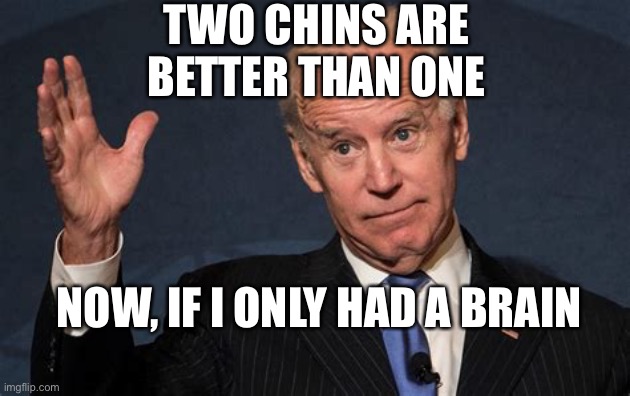 Watch on video, Out of control chin | TWO CHINS ARE BETTER THAN ONE; NOW, IF I ONLY HAD A BRAIN | image tagged in biden s chin,biden,cheater | made w/ Imgflip meme maker