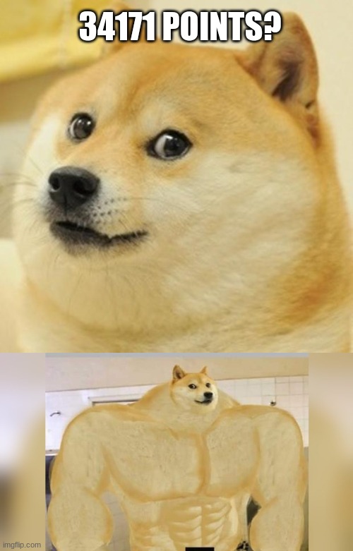 34171 POINTS? | image tagged in memes,doge | made w/ Imgflip meme maker